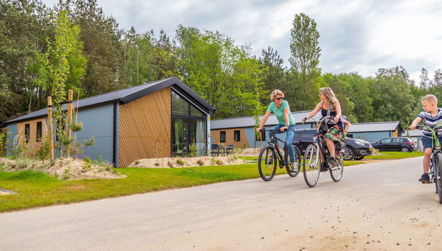 Velthorst 4 - Foto 3, House