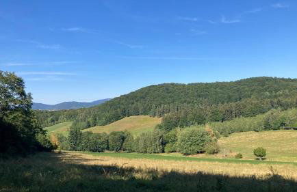 Na Piotrowickiej Przełęczy - Foto 76