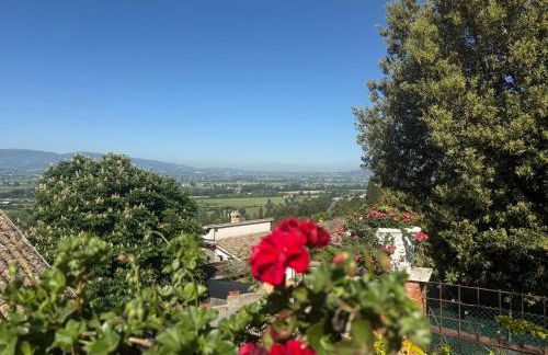 Athena Casa Vacanze - Foto 54