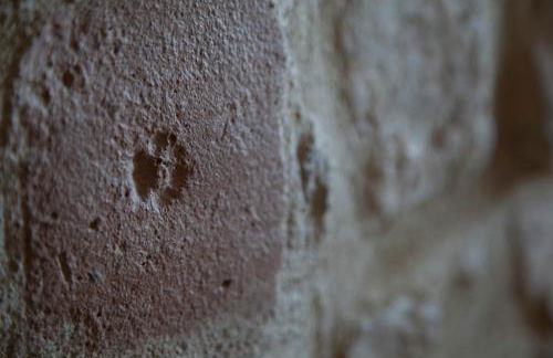 Agriturismo San Fedele - Photo 78