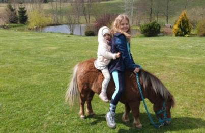 Wiejska Chata - Foto 34