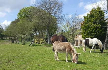 Les Gîtes du Goelo - Foto 53