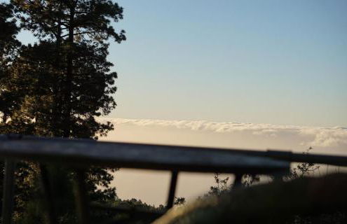 Tiny House Vogelnest - Foto 32