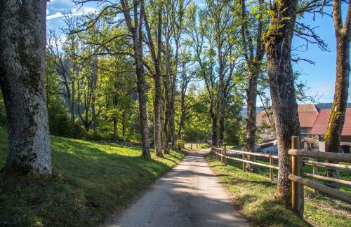 Domaine de Malpas - Foto 6