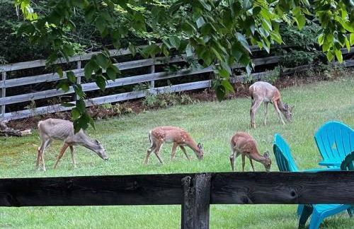 Spacious Catskills Home with Covered Hot Tub - Foto 15