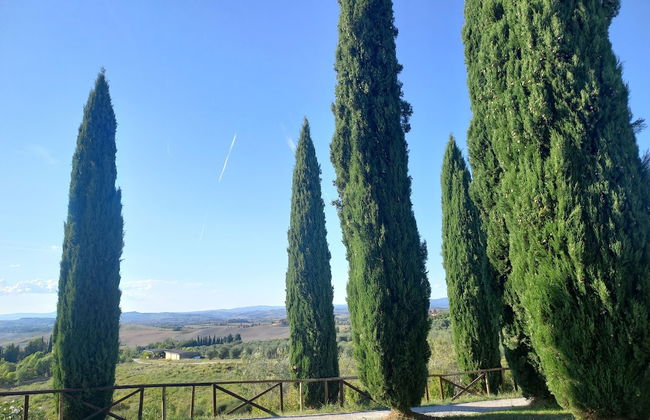Villa With Swimming Pool, Fenced, 10 bed Places Toscana Wi-fi - Foto 35