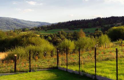 Magiczny Widok Tiny House - Foto 51