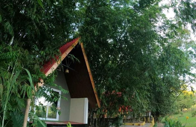 Pobitora Village Eco Camp - Foto 20