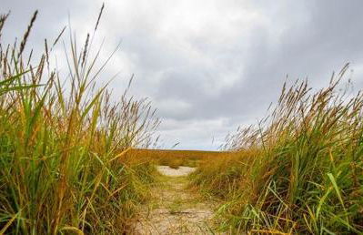 Ferienwohnung Kornew - Foto 67