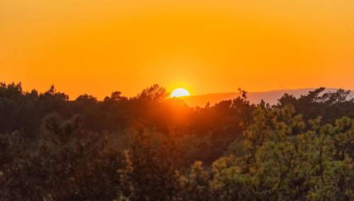 Lodge Grand Confort en Nature - Salle de bain italienne - 10 min A7 - Foto 5