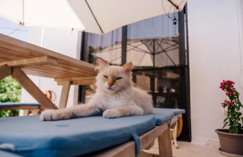 Villeni Panorama Apartment Oktonia - Foto 14