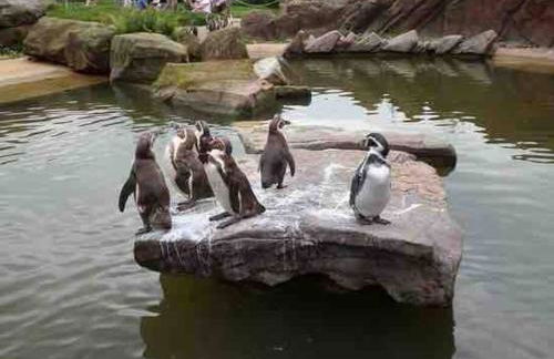 Classy 2 Bed Near Alton Towers, Polar Bears, Peak District - Foto 48