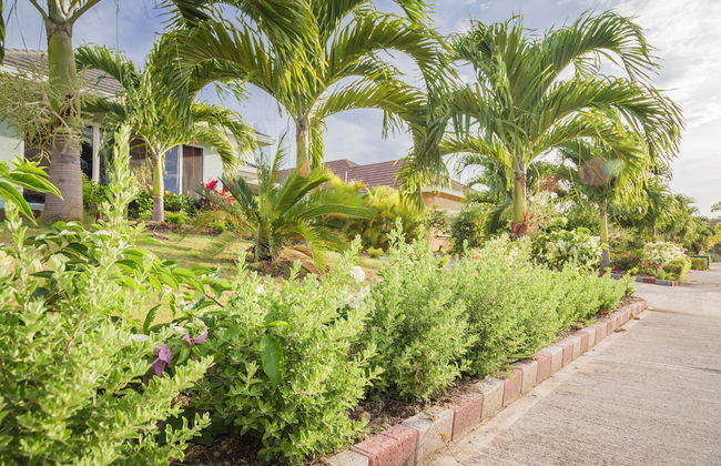 Ocho Rios Villas at Coolshade II - Photo 42