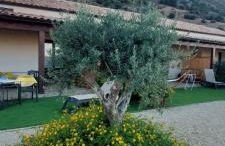 Agriturismo Dispenza - Foto 91