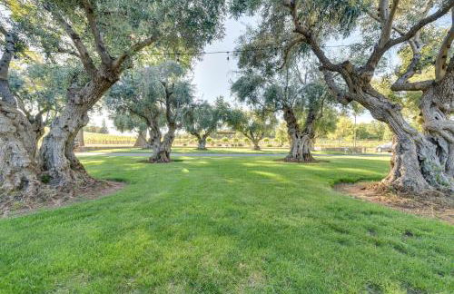 Kelseyville Vacation Rental about 5 Mi to Clear Lake! - Foto 22