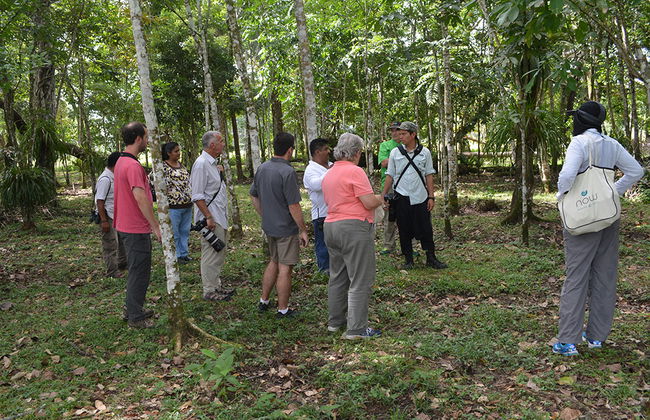Macaws and Montes Azules Reserve from Palenque - Foto 4