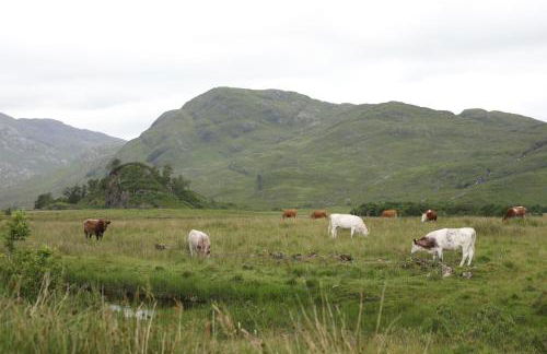 Clovullin Croftview Pod - Photo 15