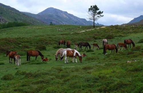 Quinta Parque Nacional Peneda Geres - Foto 40