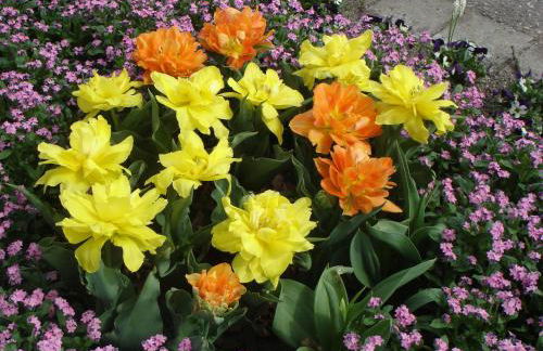 Europa Residenz Premium Suite - Foto 6