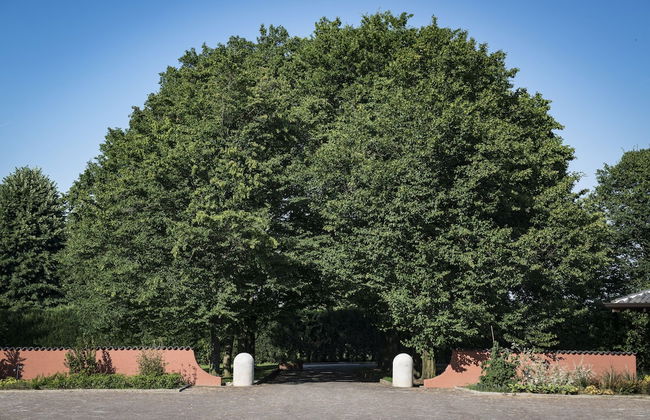 Agriturismo Relais Tenuta il Cigno - Foto 55