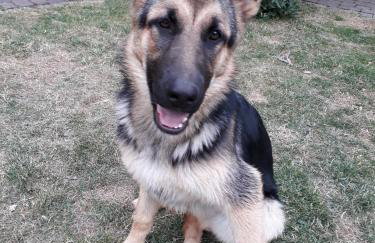 Ferienwohnungen Bunge - Photo 23