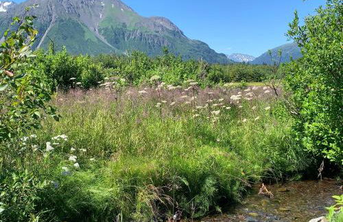 Coho Cabin - Great Views & Fishing - Foto 12