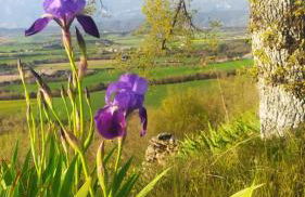 Casa Rural Tejedor - Foto 34
