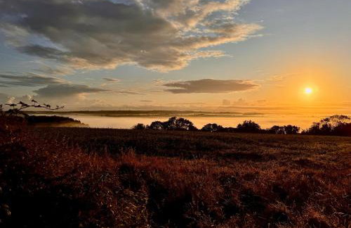 Torridge House Cottages - Foto 37