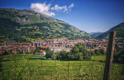 Txanpardin - Foto 41