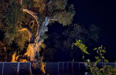 Paxos Dream House - Foto 30