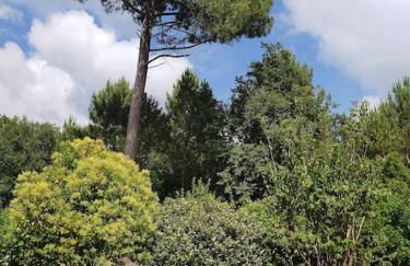 ENTRE LAC ET OCEAN SPACIEUSE ET CALME - Photo 23