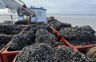 La Passerelle de la Baie - Foto 43
