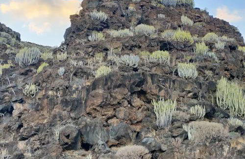 Casa Omaira y Nacho - Foto 72