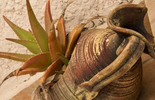 Olea Escape Villa in an Olive Estate - Foto 70