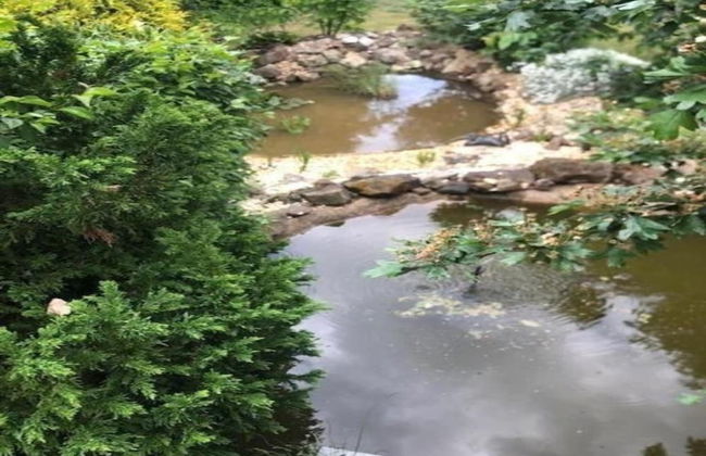 Holiday Home in Hasselfelde With Private Terrace - Foto 20