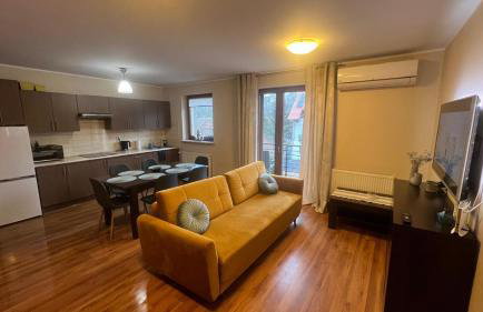 Adlerek Krynica - Foto 4