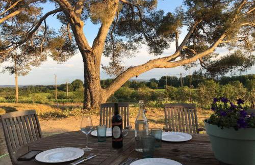 Domaine Saint Augustin - Foto 2