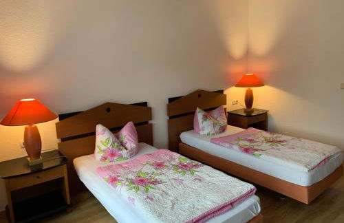 Gasthaus und Pension Zur Libelle - Foto 2