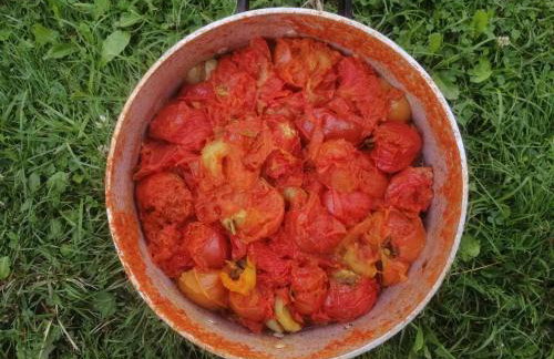 Agroturystyka Przy Rajskim Sadzie - Foto 46