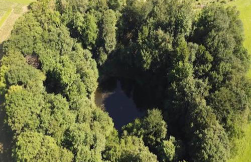 Spacious Farmhouse in Friedrichsfeld near Forest - Foto 27