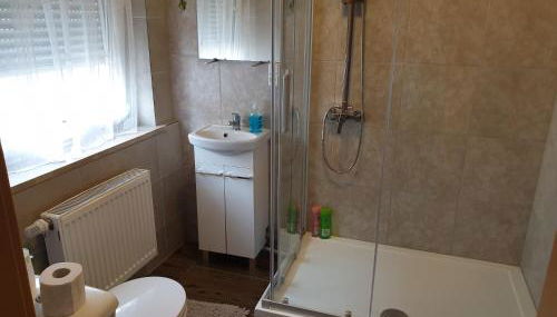 Viktor - Foto 3, Shower