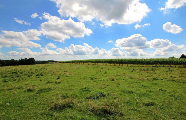 Spacious Country Villa - Foto 27