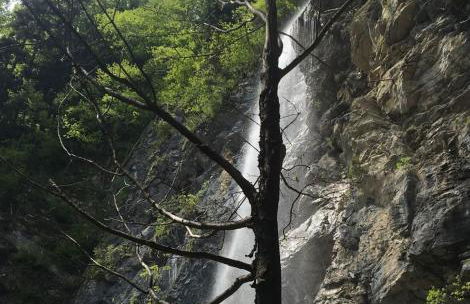 ciao-aschau Haus zur Burg Ap112 Burgblick - Foto 24