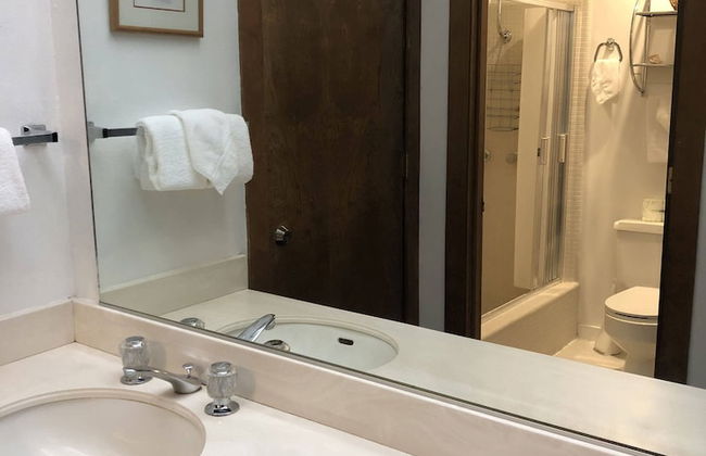 Mammoth Estates - 4 Seasons of Beauty w/ Amenities! - Foto 21