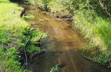 Weatherwood - Gorgeous Luxury Cabin with Spa! - Foto 13