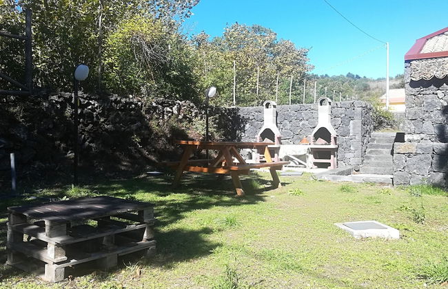 Viola nel Parco - Foto 77