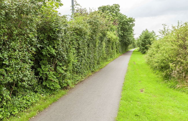 Holiday Home in Kortrijk for 8 Person - Photo 27