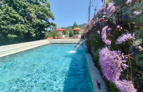 Collares Sintra Petit Palais - Foto 2