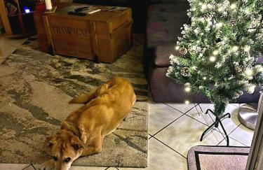 Lea`s Residence - Foto 21