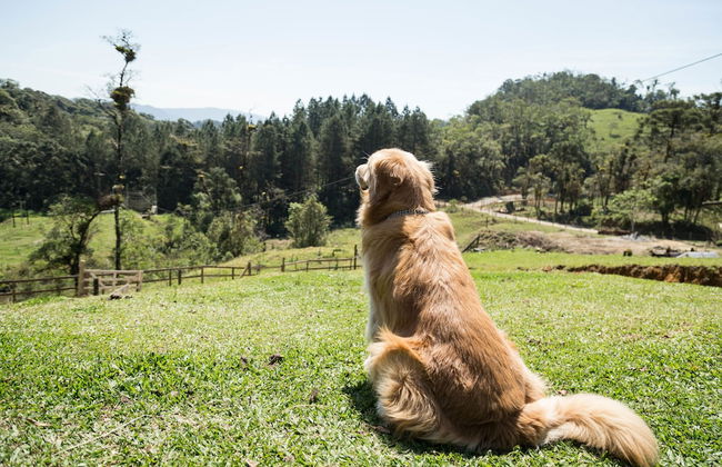 Hotel Fazenda Dona Francisca - Foto 72